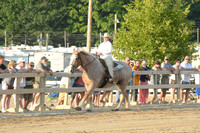 Open Riding_wtc-9