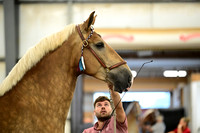 AJB_5931