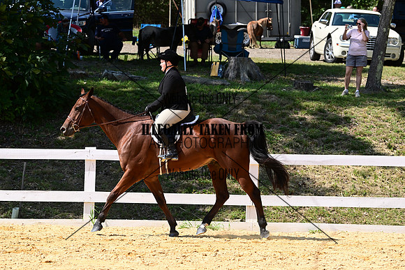 AJB_0889