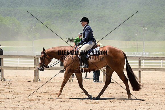 ASH_5263