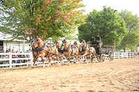 AJB_0541