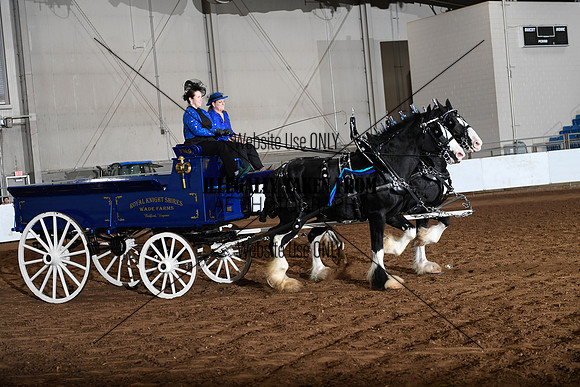 Shires_5262