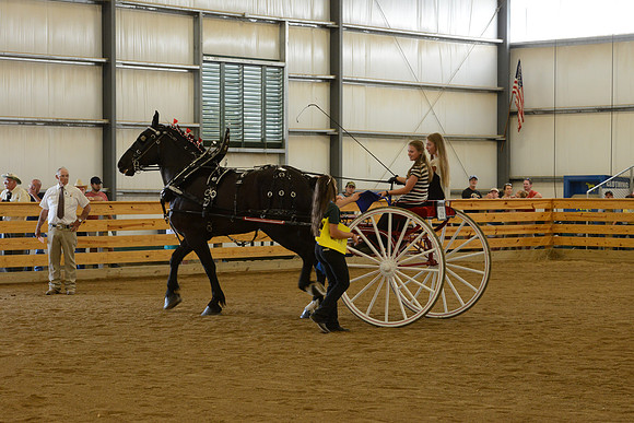 Sr. Youth Cart-31