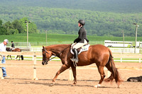 AJB_6557