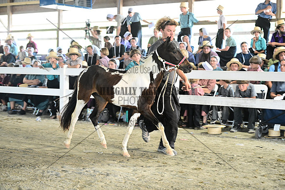 AJB_0348