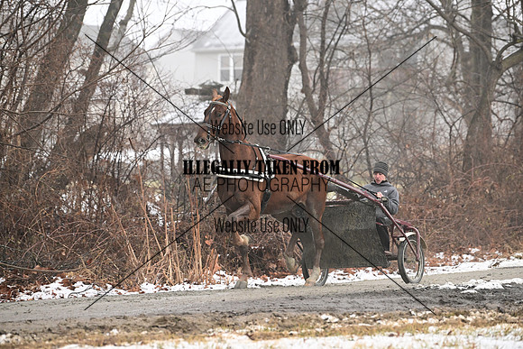 ASH_7742