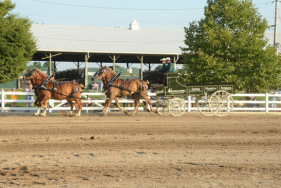 Four Horse Hitch_Amateur_youth-6