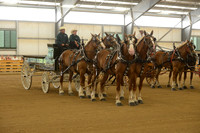 Four Horse Hitch-16