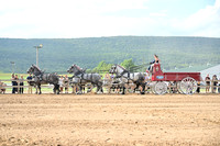 AJB_0428