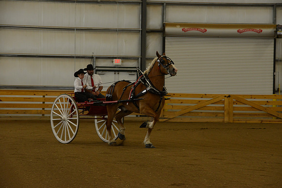 Jr. Youth Cart-14