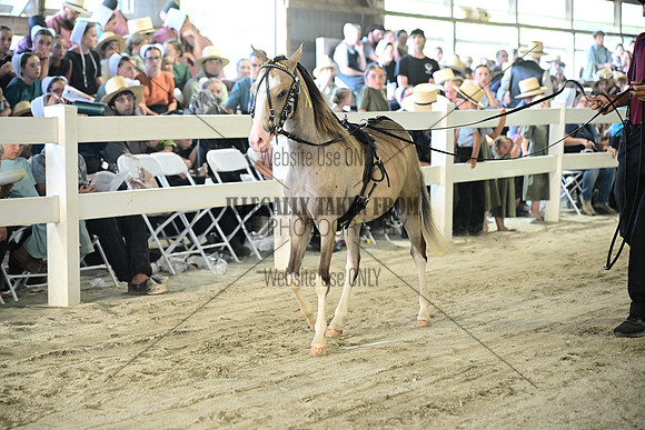 AJB_0363