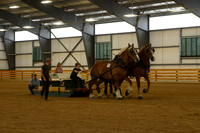 Farm Team-15