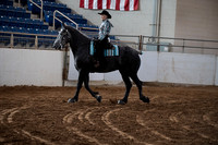 Adult Western Riding WJL