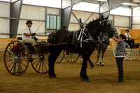 Men’s Cart_percherons-18