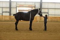Jr. Youth Showmanship-13