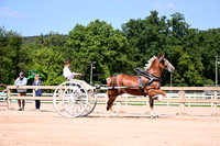 AJB_4784