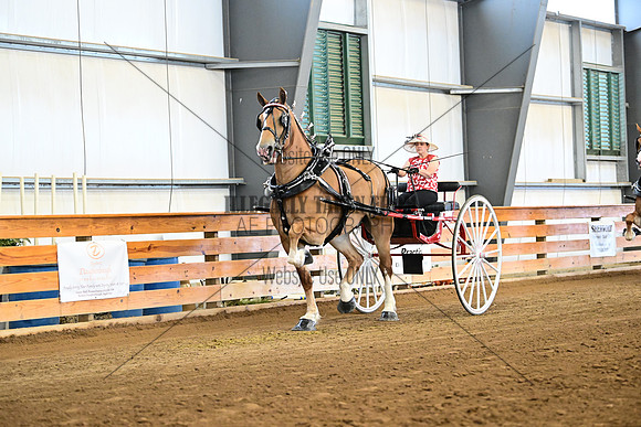 AJB_8285