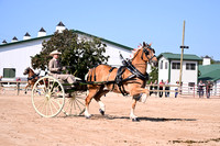 AJB_4600