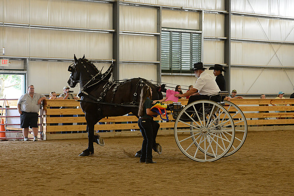 Sr. Youth Cart-26