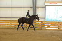 Open Riding English_wtc-6