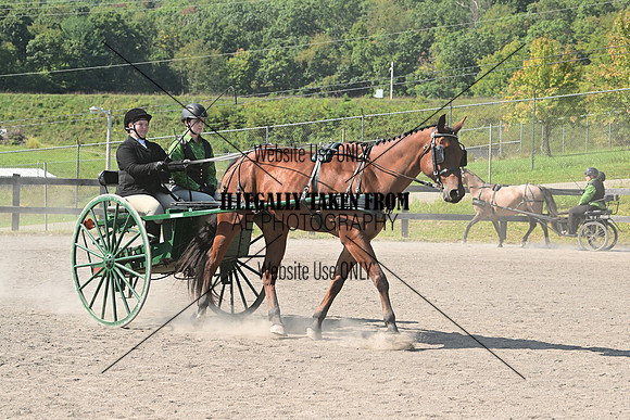 AJB_0527