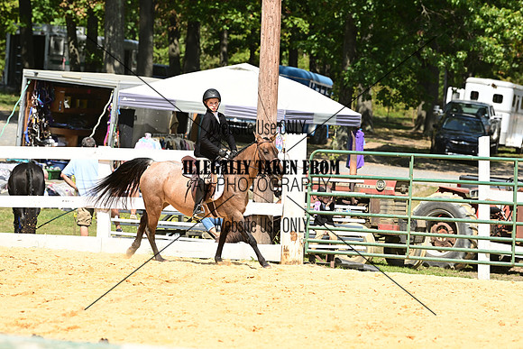 AJB_0778