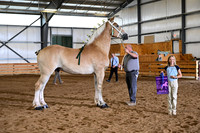 AJB_4164