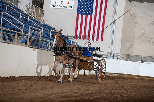 KILE_10032024_SCL4017