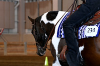 109 All Breed Walk Trot Western Horsemanship 11-18