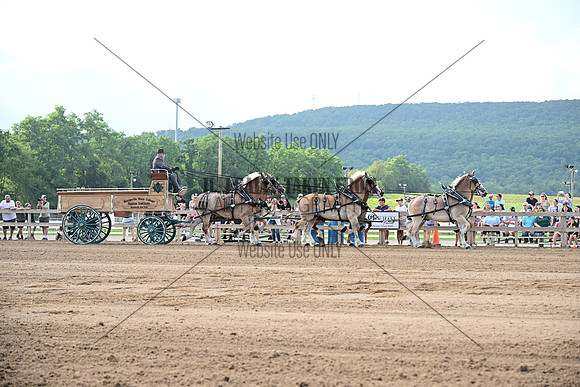 AJB_0405
