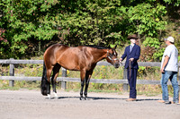 AJB_2038