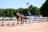 AJB_4684