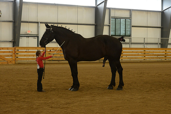 Jr. Youth Showmanship-36