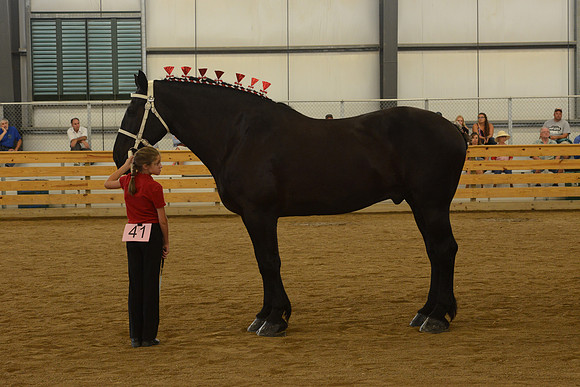 Jr. Youth Showmanship-34