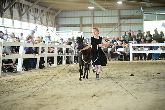 AJB_0427