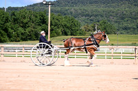 AJB_4717