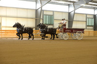 Four Horse Hitch-5