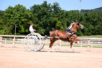 AJB_4772