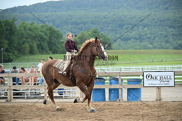 AJB_0677