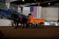 Percheron - Open Team