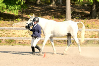 AJB_0264