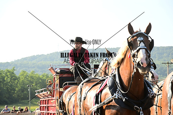 AJB_7952