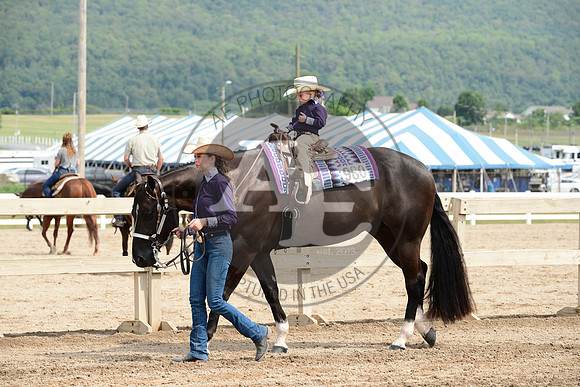 AJB_4339