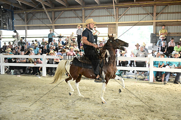 AJB_0628