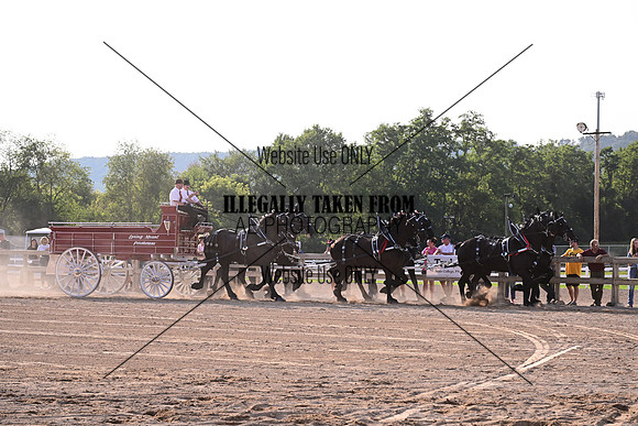 AJB_6434