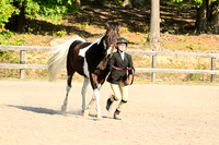AJB_0312