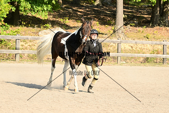AJB_0312