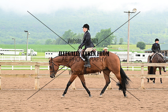 AJB_6405