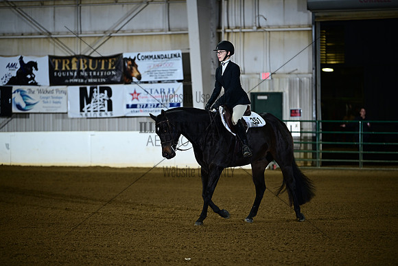 AJB_0286