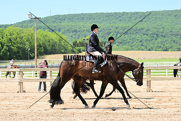 ASH_0961